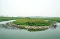 시화호갈대습지공원 인공섬 썸네일 이미지