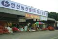 안산시 농수산물도매시장 채소경매장 썸네일 이미지