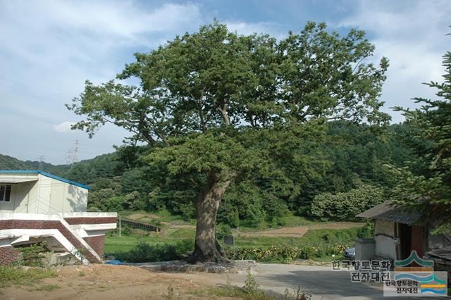 대표시청각 이미지