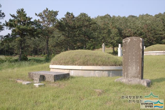 대표시청각 이미지